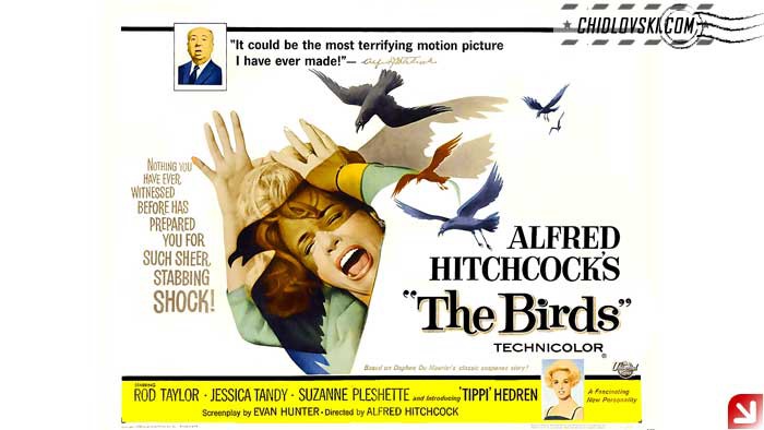 birds-poster-001