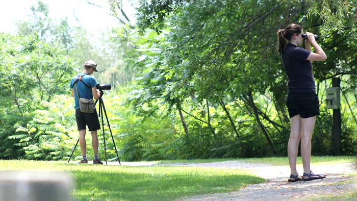 birders-new-generation