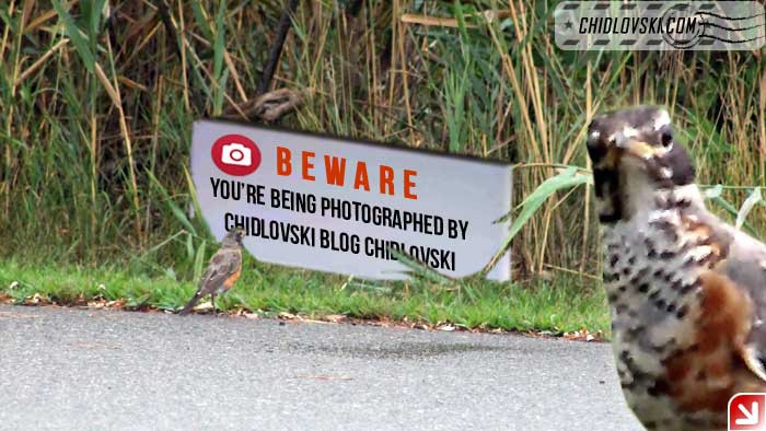 beware-photography