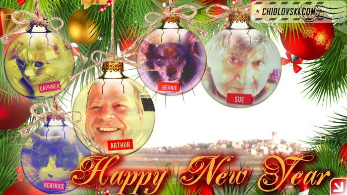 2016-happy-new-year