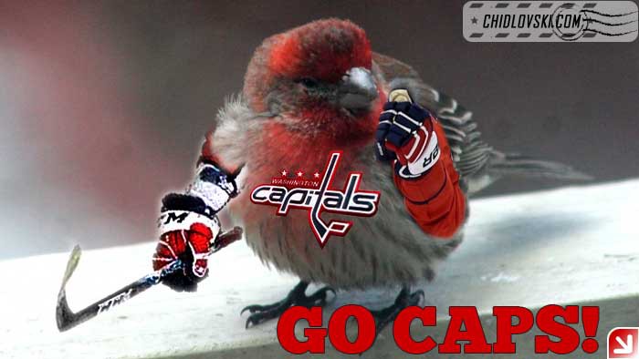 birds-go-caps