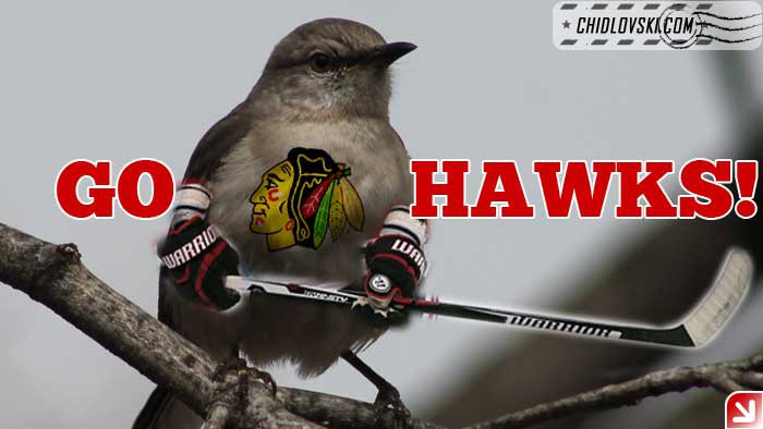 birds-go-hawks