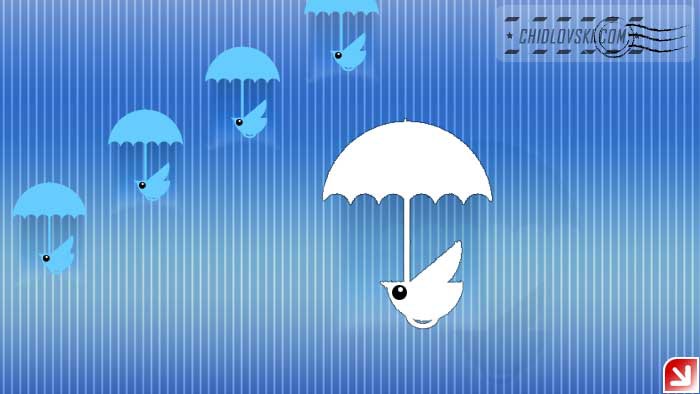 birds-in-rain