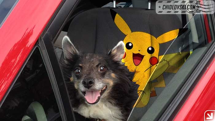 bernie-pokemon-003