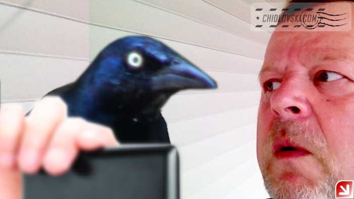 selfie-with-grackle