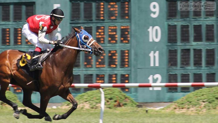 suffolk-downs-b003