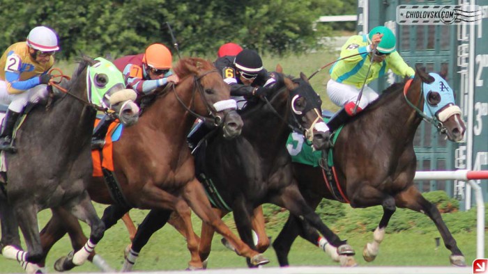 suffolk-downs-b007