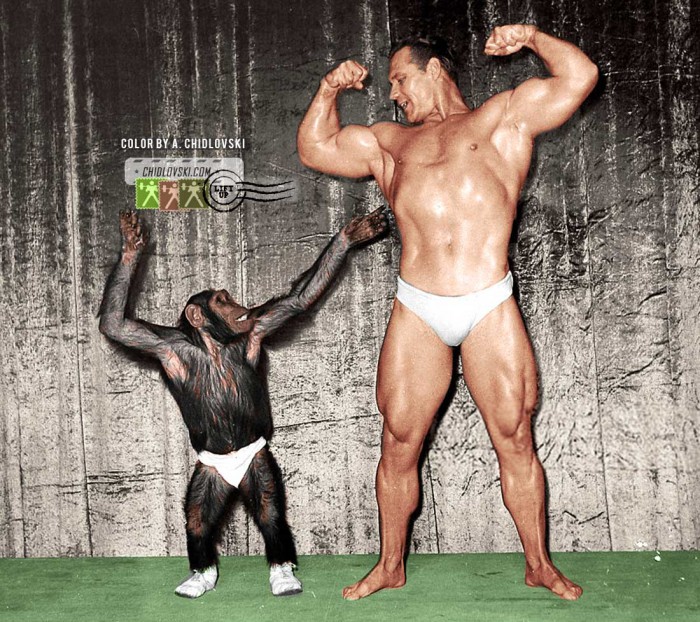 grimek-and-chimp-show